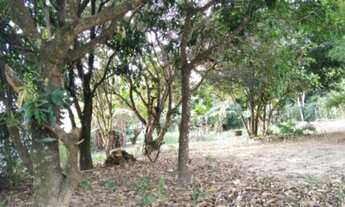 Imagem 5: Chácara Recreio Campestre Internacional de Viracopos - Indaiatuba