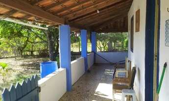 Imagem 4: Sítio 1 alqueire 380.000