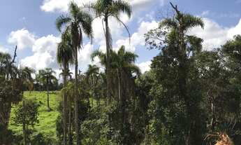 Imagem 6: LOTES BONS BARATOS EM IBIUNA