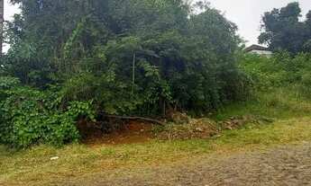Imagem 6: DOIS IRMÃOS - Terreno Padrão - Moinho Velho