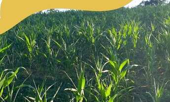 Imagem: Terreno em Ibiúna com Fácil Acesso a Mairinque