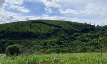 Imagem 6: Vendo terreno proximo do centro - venha conhecer Atibaia