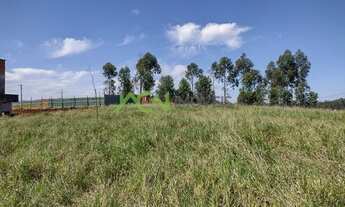 Imagem 6: Estância Velha - Terreno Padrão - Bela Vista