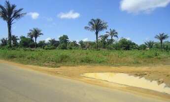 Imagem: Vende-se excelente terreno no asfalto na