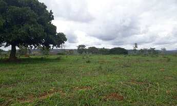Imagem 3: Fazendinhas Maquiné pertinho de BH ! Terra boa e topografia boa !