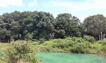 Imagem 7: SITIO COM 11 ALQUEIRES