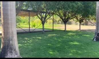 Imagem 6: Chacara dentro da cidade 6 mil m2