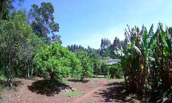 Imagem 3: DOIS IRMÃOS - RESIDENCIAL - Travessão