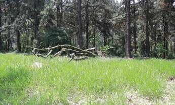 Imagem 7: Lote a venda com 812m² - Residencial Lago Orion - Aldeia da Serra/SP