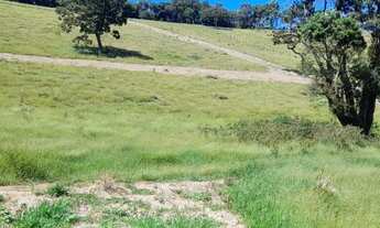Imagem 11: Lote/Terreno para venda possui 1000 metros quadrados em vila verde