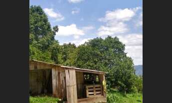 Imagem 3: Área à venda, 41874 m² por R$ 350.000,00 - Linha Imperial - Nova Petrópolis/RS