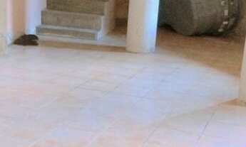 Imagem 6: Casa em Irajá frente de rua com terreno 300mts