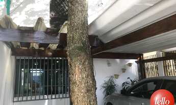 Imagem 3: São Paulo - Casa Comercial - Santo Amaro