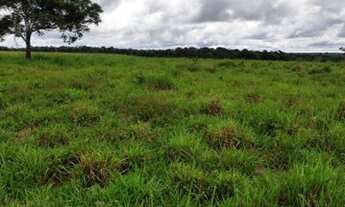 Imagem 16: Fazenda 210 alqueires Entre Espigão D' Oeste e Pimenta Bueno