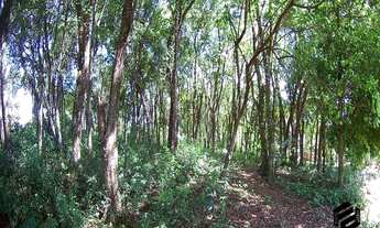 Imagem 5: DOIS IRMÃOS - RESIDENCIAL - Travessão