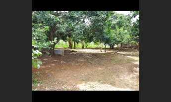 Imagem 2: Terrenos no setor de chácaras planaltina