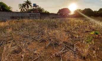 Imagem 6: Terrenos no setor de chácaras planaltina
