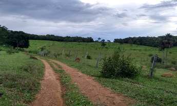 Imagem 6: Sítio em Hidrolândia