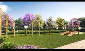 Imagem 4: Lançamento em Cardeal - Elias Fausto