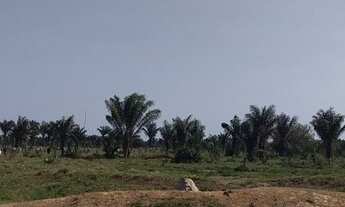 Imagem 1: 180 alqueres de terra