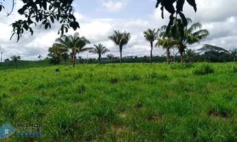 Imagem 3: Fazenda 210 alqueires Entre Espigão D' Oeste e Pimenta Bueno
