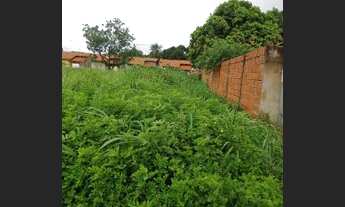 Imagem 3: Vendo 2 lotes jardim ouro verde VG