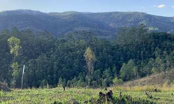 Imagem 3: Lote/Terreno para venda tem 1000 metros quadrados com 1 quarto em Centro - Mairiporã - SP