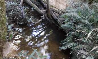 Imagem 6: Chácara á venda em Piraquara, no Roça nova