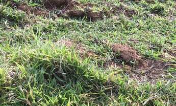 Imagem 2: Terreno para venda em Atibaia - SP