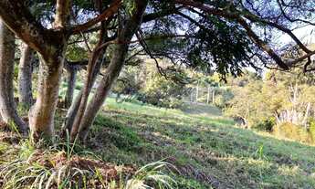 Imagem 2: Terreno - Sítios de Recreio Gramado - Campinas