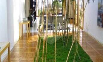 Imagem 6: Mairiporã - Casa Padrão - Roseira