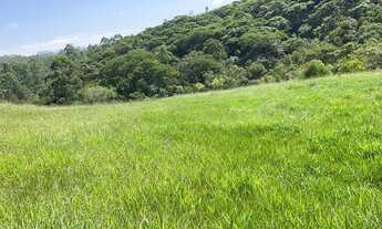 Imagem 5: 10.000m² de terra por apenas 150mil à vista