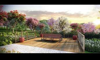 Imagem 2: Lançamento em Cardeal - Elias Fausto