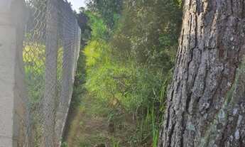 Imagem 2: Fazenda/Sítio/Chácara para venda com 1500 metros quadrados em Vila São Tiago - Piraquara