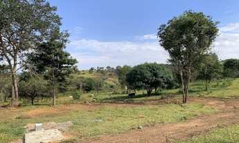 Imagem 5: Chácara 3000m², Linda Vista, Local Muitas Chácaras, Energia na Porta- Aragoiânia