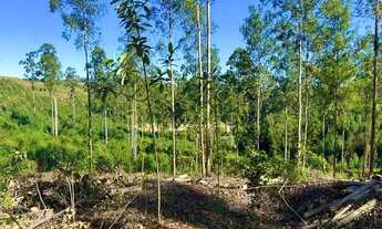 Imagem 7: Lote/Terreno para venda tem 600 metros quadrados em Aluminio - Alumínio - SP