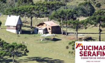 Imagem 5: SÃO JOAQUIM - RURAL - MONTE ALEGRE