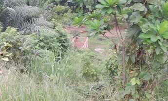 Imagem 2: Vende-se terreno