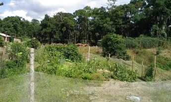 Imagem 5: Vendo chácara Chácara com venda por R$140.000