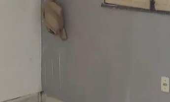 Imagem 3: Aluga-se apartamento Bairro Jomafa