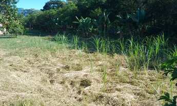 Imagem 4: Vendo sítio Chácara com venda por R$220.000