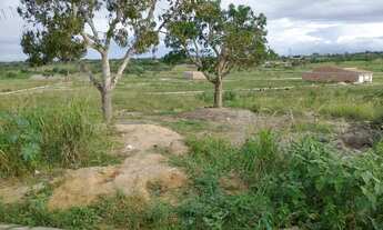 Imagem: Vendo terreno na Cidade Nova