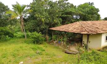 Imagem 2: Chácara em Goiânia