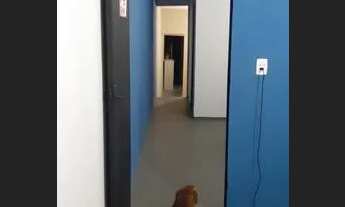 Imagem 5: Vende-se casa Casa com 2 dormitórios