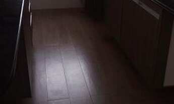 Imagem 6: Apartamento de 83 metros quadrados no bairro Vila Mariana com 3 quartos