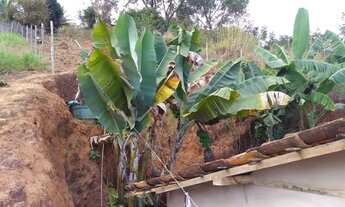 Imagem 6: Vendo ou troco Casa com 3 dormitórios