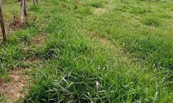 Imagem 3: Chácara Pouso Alegre MG