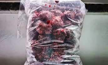 Imagem 2: Morangos, Mirtilos, Kiwi, Amora e Framboesas naturais congeladas