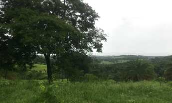 Imagem 2: Oportunidade 4 alqueires e meio