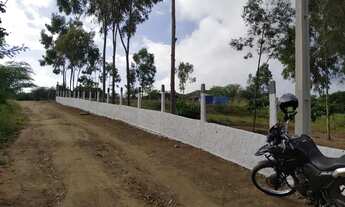 Imagem 7: Chácara com escritura pública, bezerros